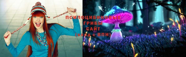 гашиш Алзамай